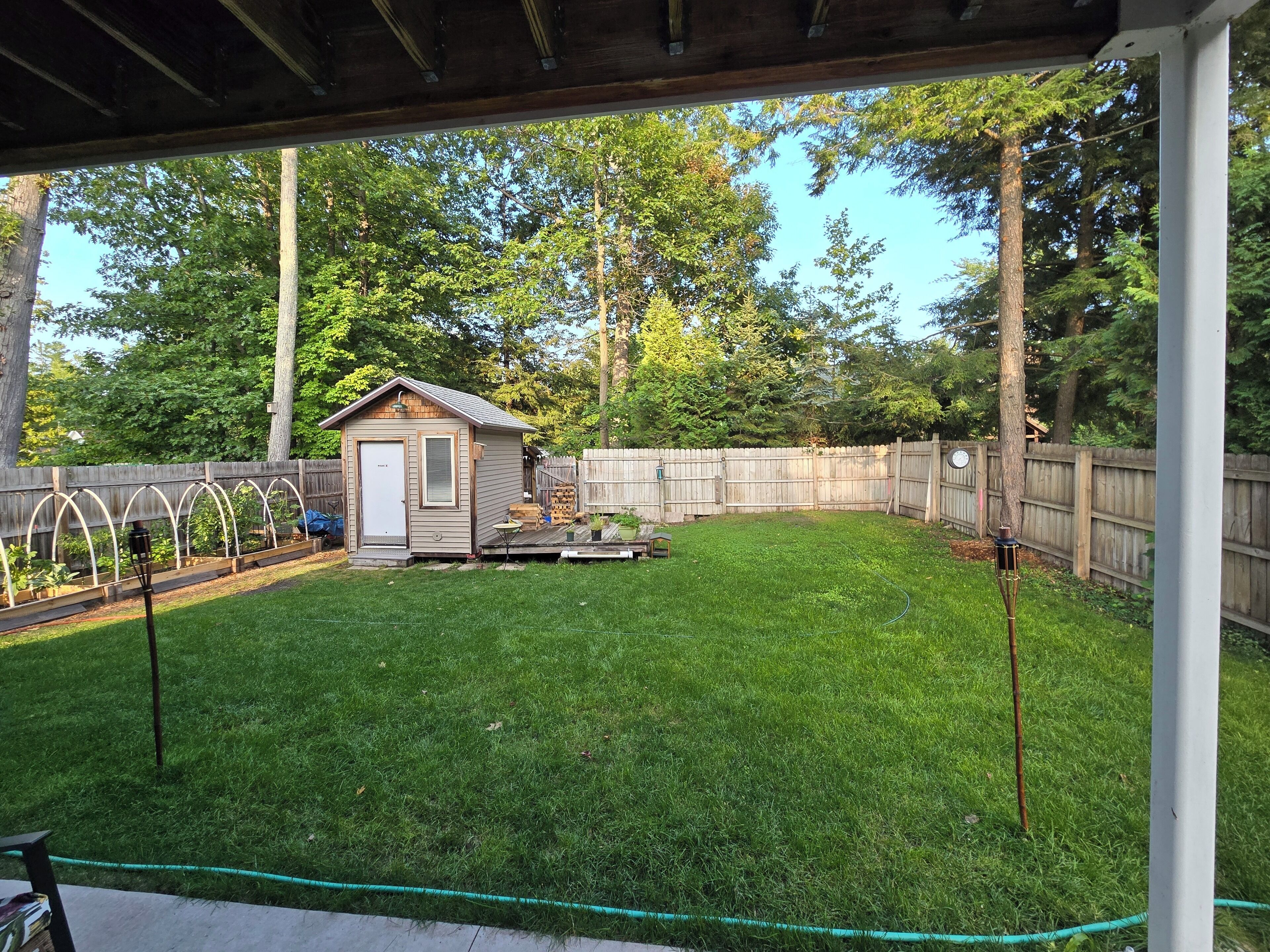 Un jardin avec un petit abri, une clôture en bois et une pelouse bien entretenue.