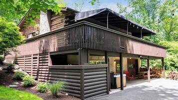 奢华小屋, 河景 | 客厅 | 游戏机、玩具、书、音乐库
