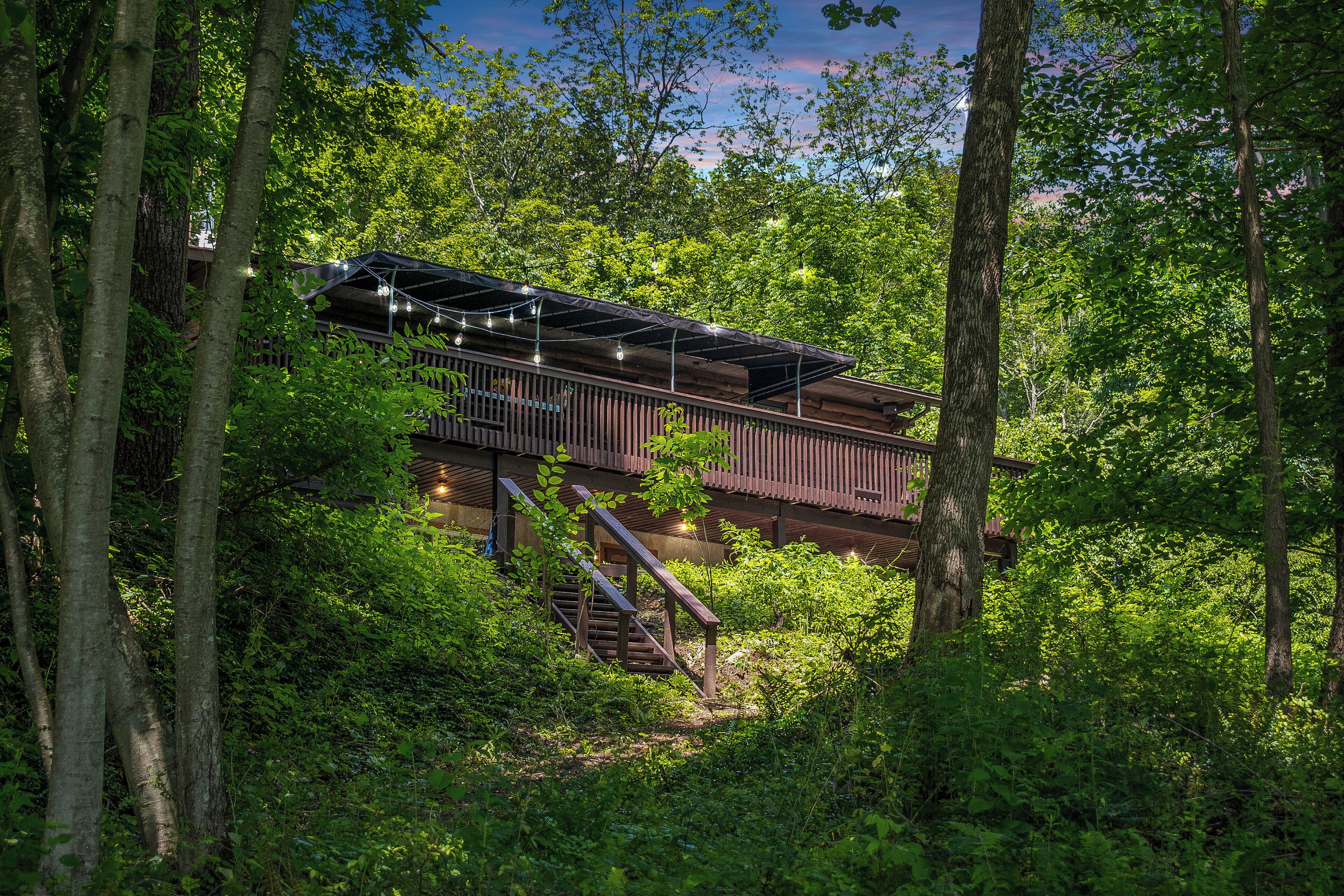 Luxury Cabin, River View | Living room | Video-game console, toys, books, music library