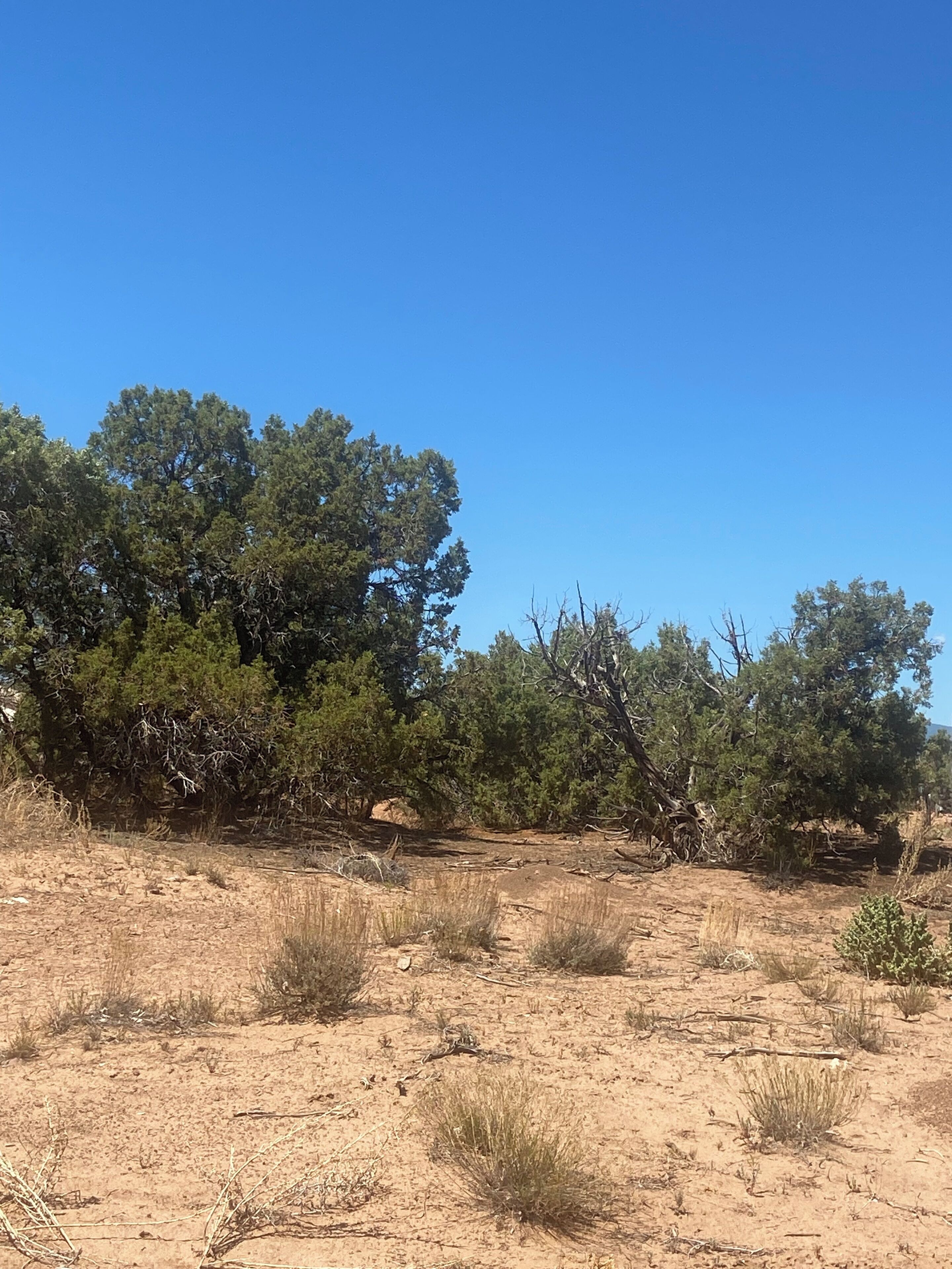 1-bedroom RV in amazing Roosevelt with WiFi, AC can sleep 4 adults and one child
