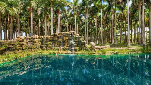 A clear pool surrounded by palm trees and a stone waterfall. - Exclusive Ranch • Lake Access • Courts & Pool_BBQ (Miami)