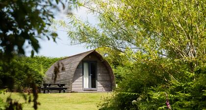 Cosy Rural Cabin On Llyn Peninsula
