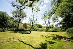 Un espace vert avec une pelouse, une table de pique-nique et des arbres.