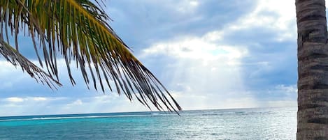 在海滩、沙滩毛巾