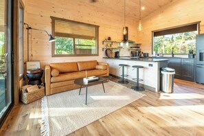 Smart-TV, Kamin