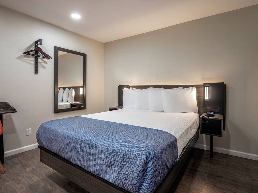 Standaard eenpersoonskamer, 1 queensize bed, niet-roken | Gratis wifi, beddengoed