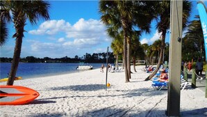 A beach with palm trees, a volleyball net, and people relaxing on the sand.