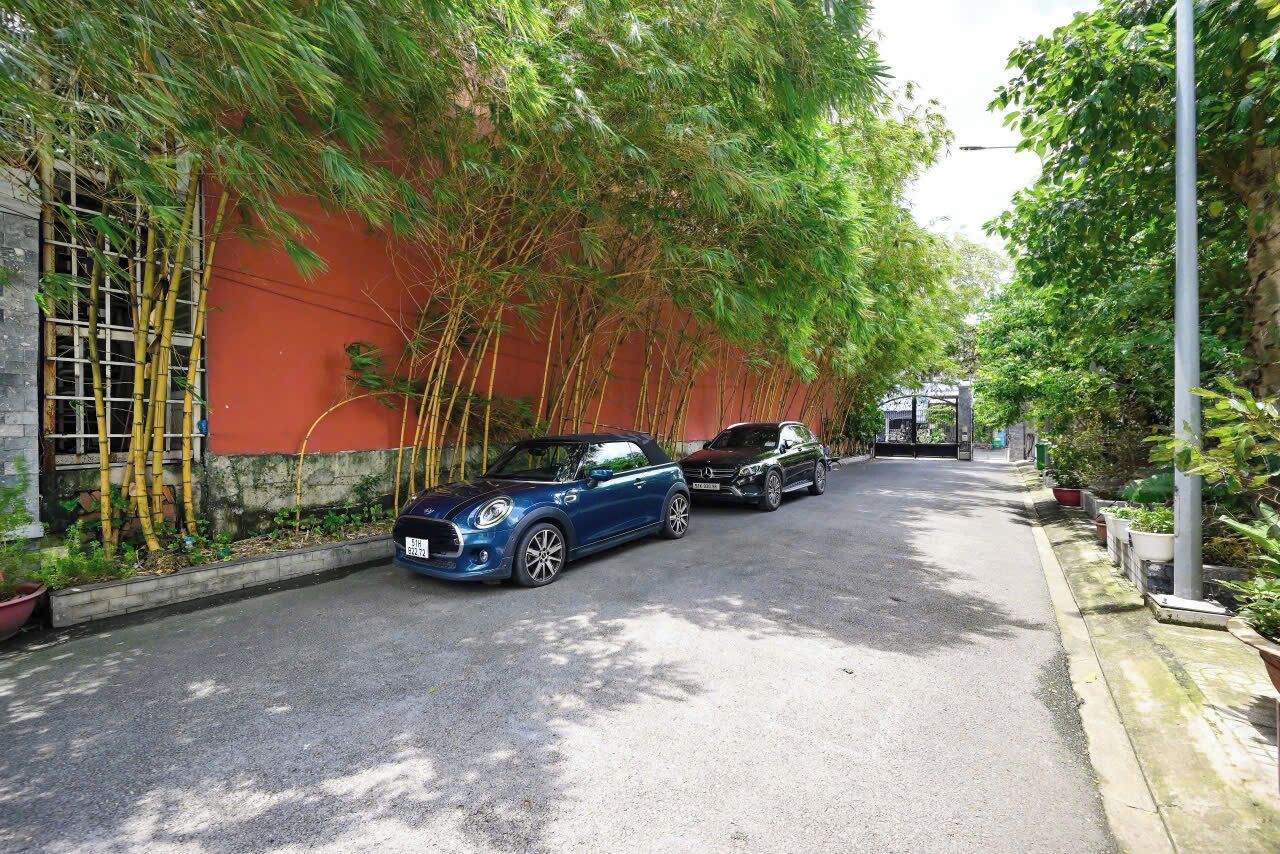 Una calle estrecha bordeada de altos bambúes y automóviles estacionados.