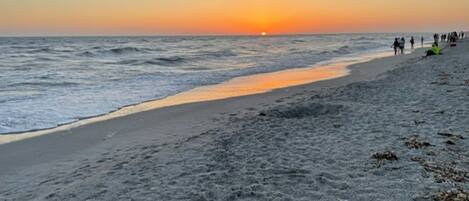Beach nearby, sun loungers, beach towels