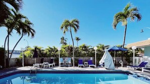 A swimming pool with lounge chairs and umbrellas, surrounded by palm trees. - Cozy Standard Double Room - Steps to Beach, Free Parking & Pool (Lauderdale by the sea)