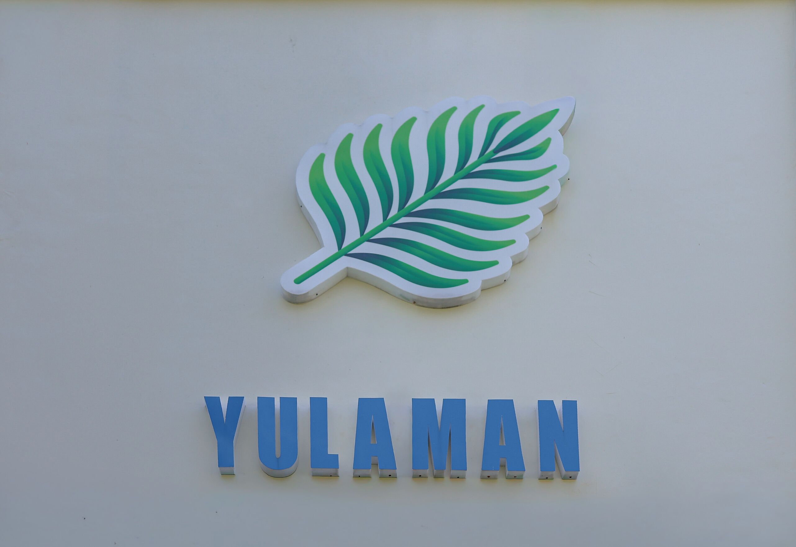 Segno con una foglia e la scritta 'YULAMAN' su un muro.