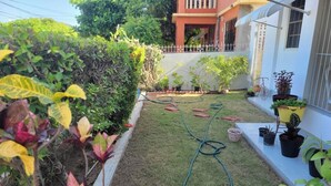 A well-maintained garden with a lawn, various potted plants, and a hose laid out on the grass.