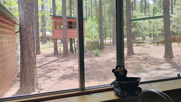 Eine Hütte mit Blick auf einen Wald durch ein Fenster.