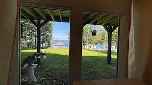 Blick durch ein Fenster auf eine Holzkonstruktion, einen hängenden Pflanztopf und einen Vogel auf einem Stehpfeiler.
