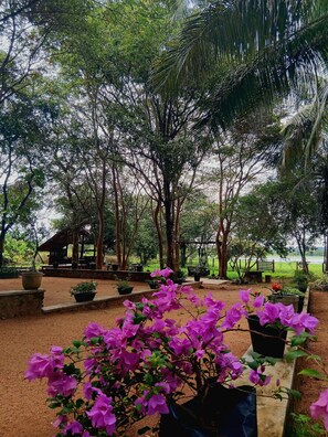 Front of property - Lake Front Cottage Sigiriya  (Sigiriya)