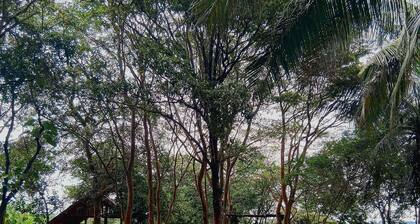 Lake Front Cottage & Restaurent