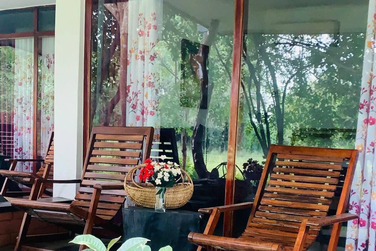 A covered outdoor seating area with wooden chairs and a table, a potted plant, and a view through large windows.