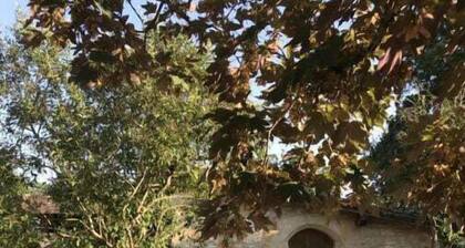 Mas du figuier Occitanie - Maison de maitre