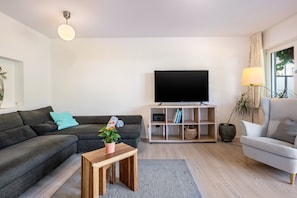 Fernseher, Kamin