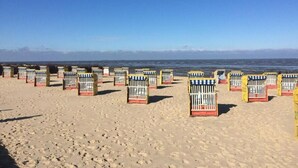 Une plage bordée de rangées de chaises de plage et de parasols.