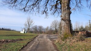 A rural road with a large tree on the right, hay bales in the distance, and a clear sky.