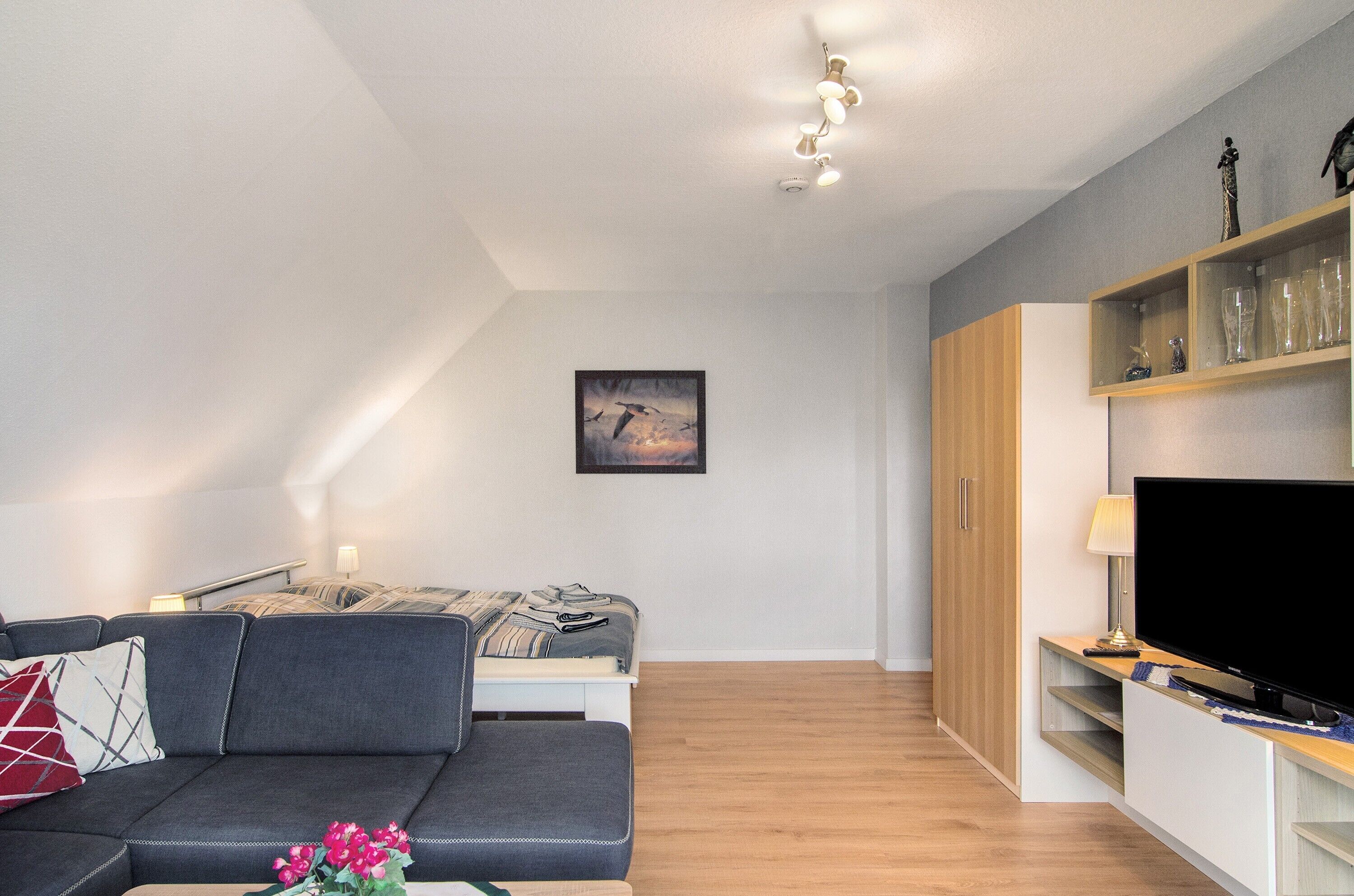 電視、DVD 播放機、音響