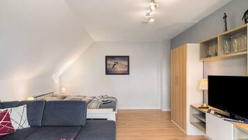 电视、DVD 播放器、立体声音响