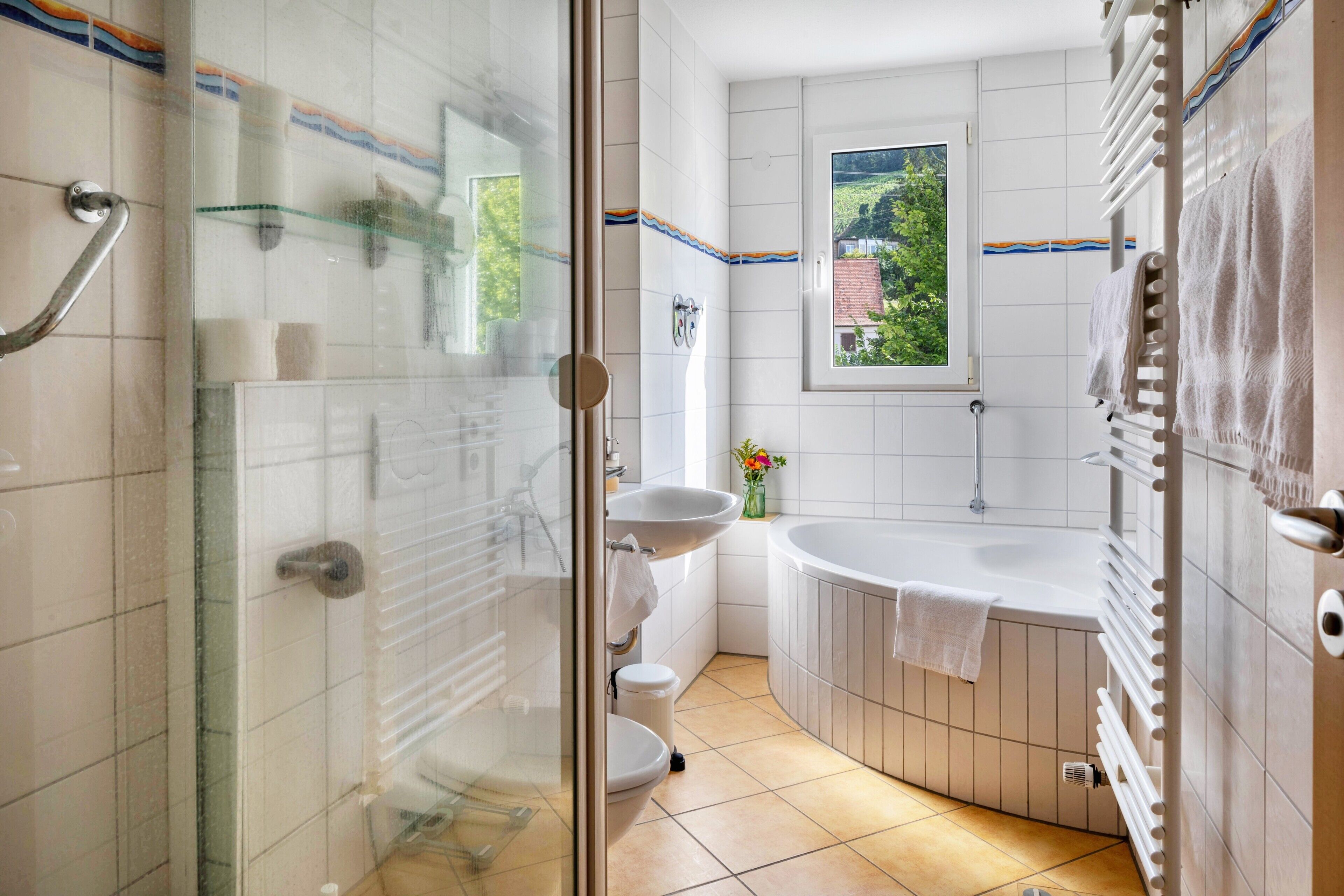 Shower, hair dryer, towels