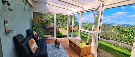 TV, fireplace, DVD player