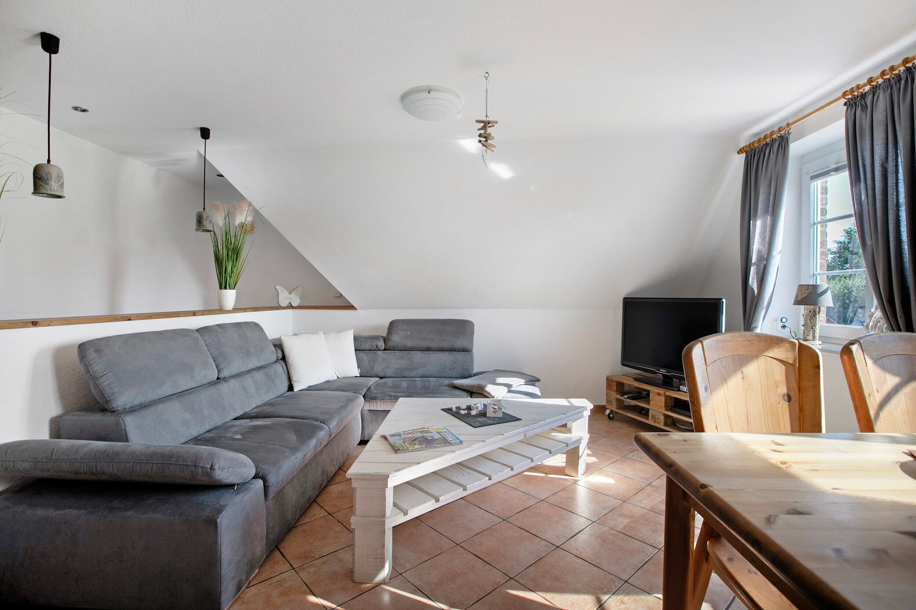 電視、DVD 播放機、音響