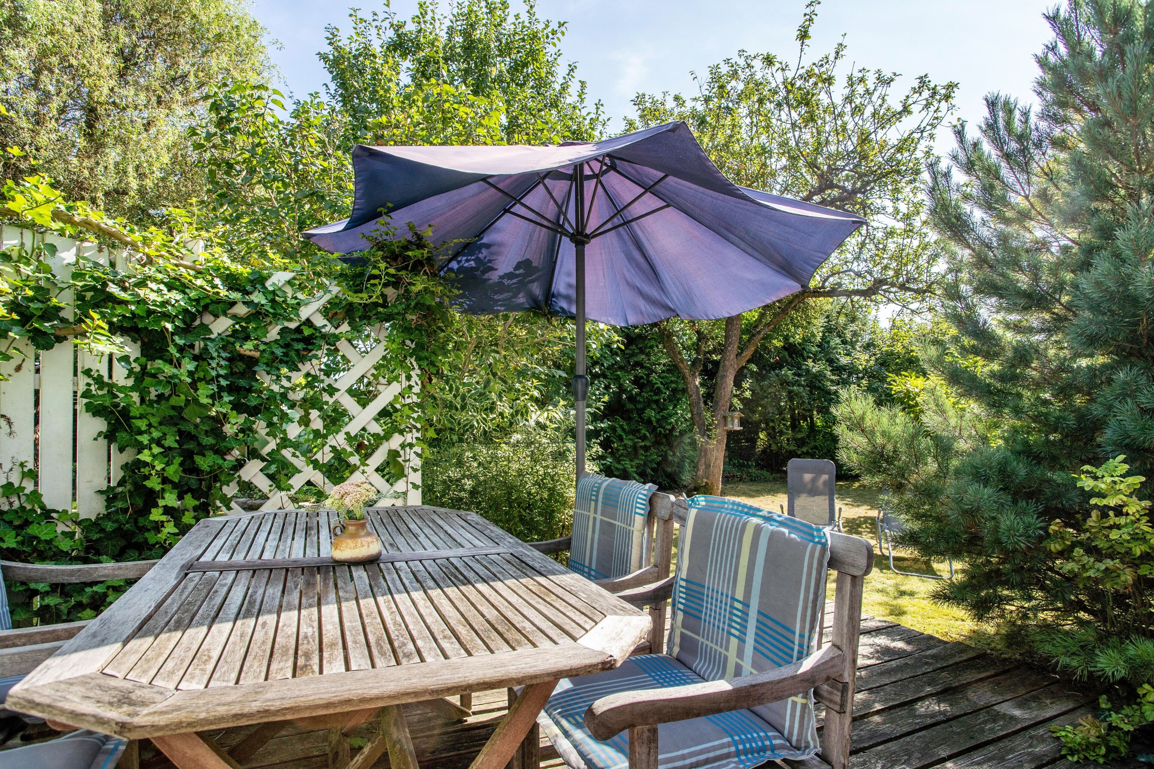 屋外ダイニングエリア