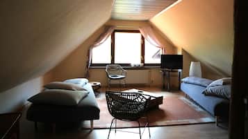 Fernseher, Kamin