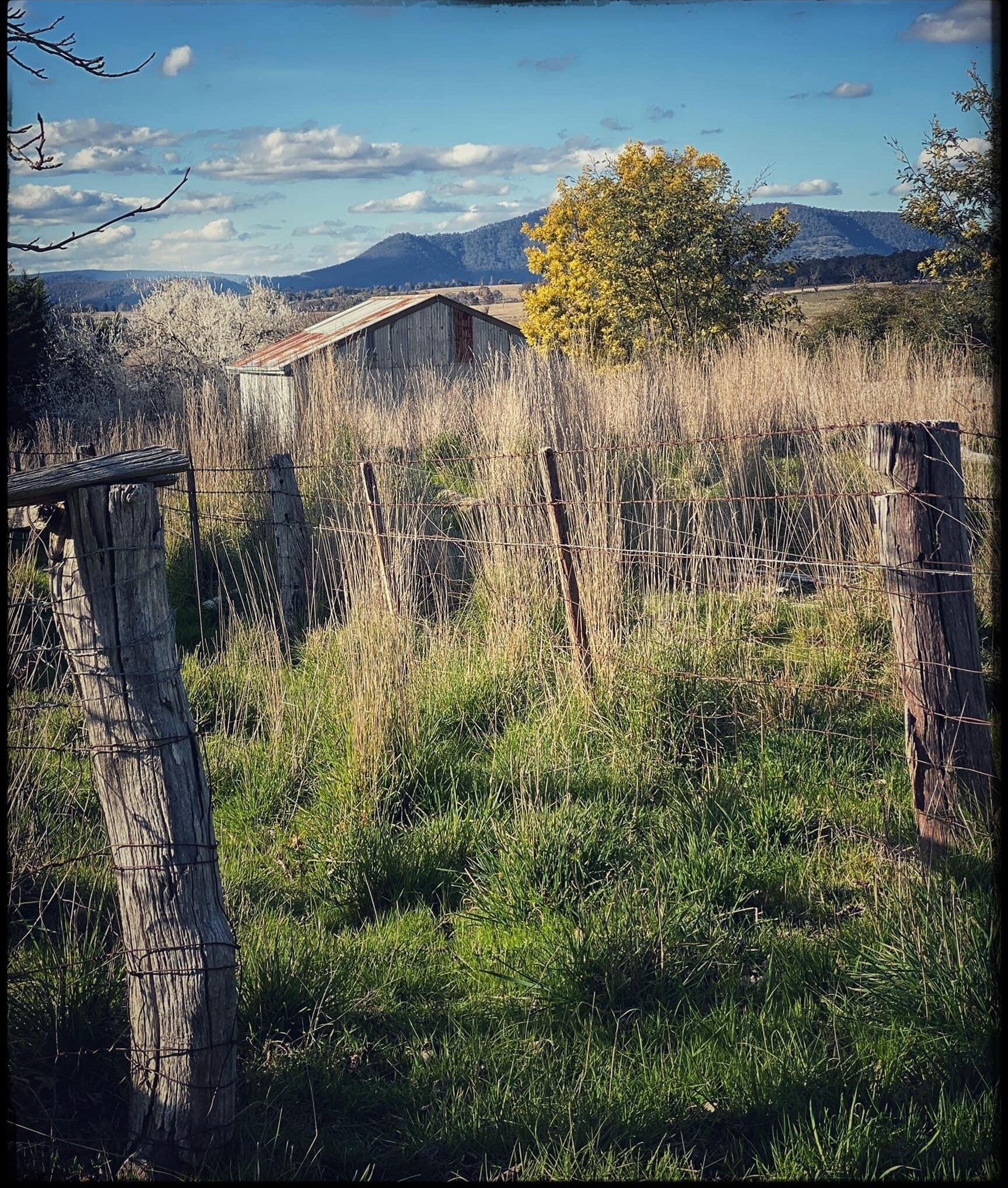A rural landscape with a wooden fence, a small shed, and a tree in the foreground.