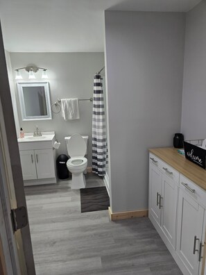Hair dryer, towels, toilet paper