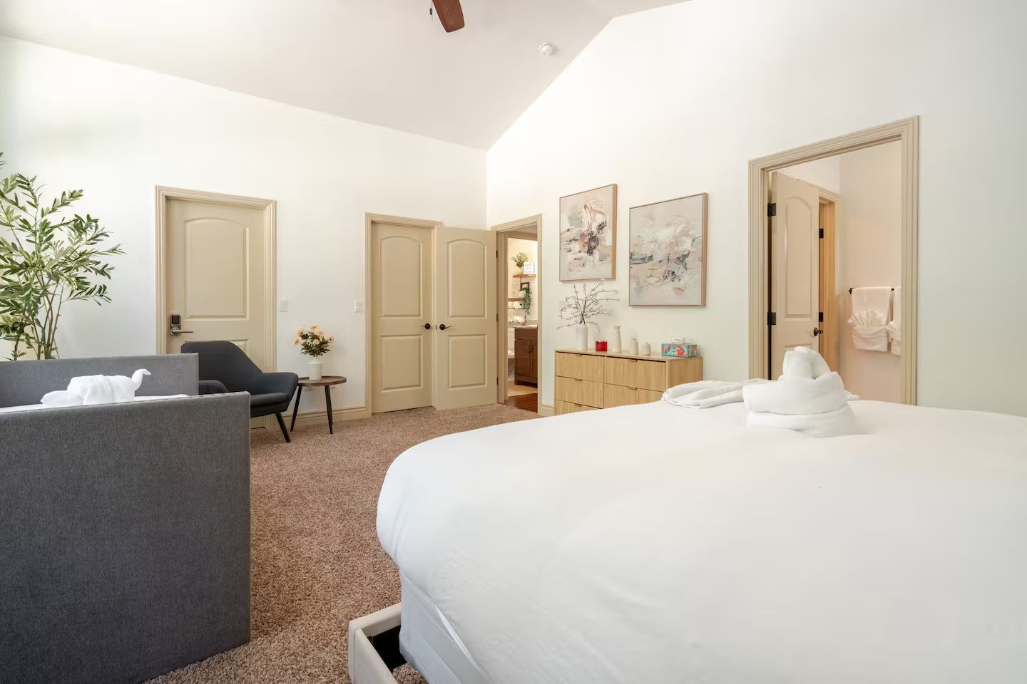A hotel room with a bed, a desk, a chair, a wardrobe, and a plant.