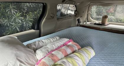 Budget Friendly Camping Experience