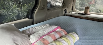 Budget Friendly Camping Experience