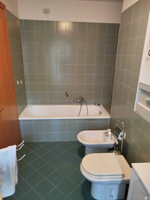 Shower, hair dryer, bidet, towels