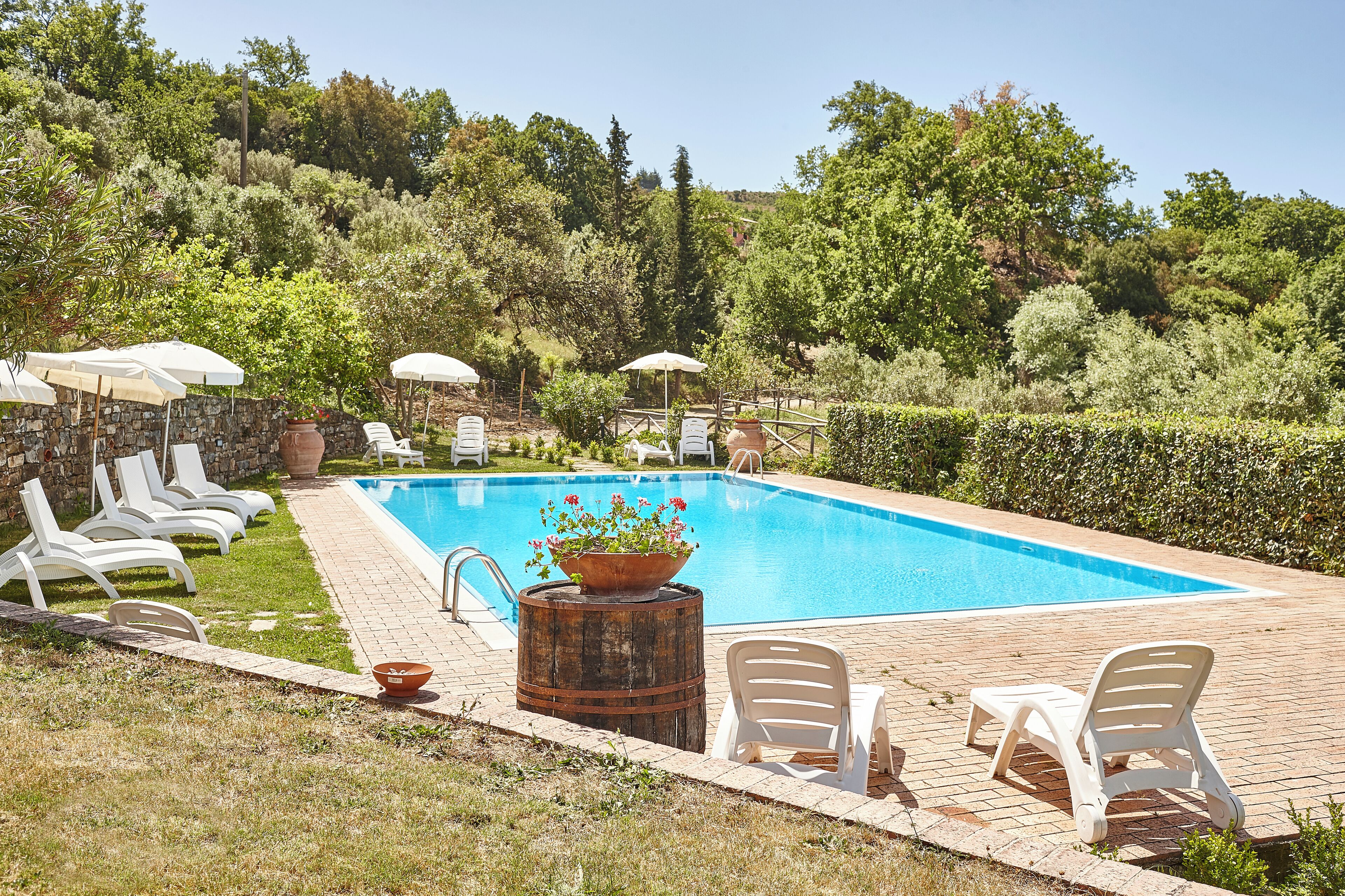 A pool area with lounge chairs and umbrellas, surrounded by greenery.