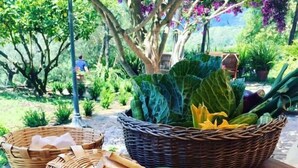 Mesa al aire libre con una selección de quesos, embutidos y verduras.