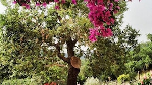 Un árbol con flores rosadas, rodeado de diversas plantas y pacas de heno.