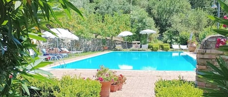 Outdoor pool, pool umbrellas, sun loungers
