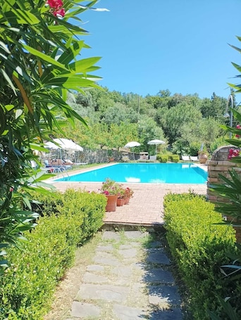 Una piscina al aire libre, sombrillas, sillones reclinables de piscina