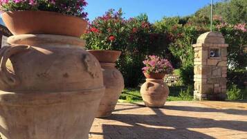 Macetas de terracota grandes con flores, un muro de piedra y un camino pavimentado.