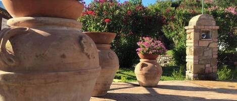 Macetas de terracota grandes con flores, un muro de piedra y un camino pavimentado.