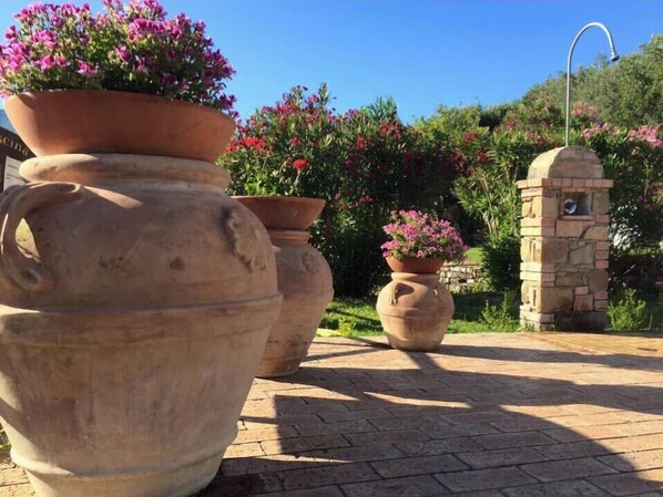 Large terracotta pots with flowers, a stone wall, and a paved walkway.