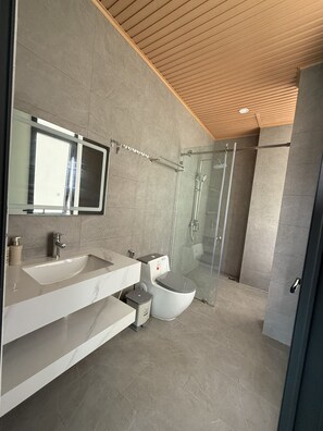 Dusche, Regendusche, Designer-Toilettenartikel, Haartrockner