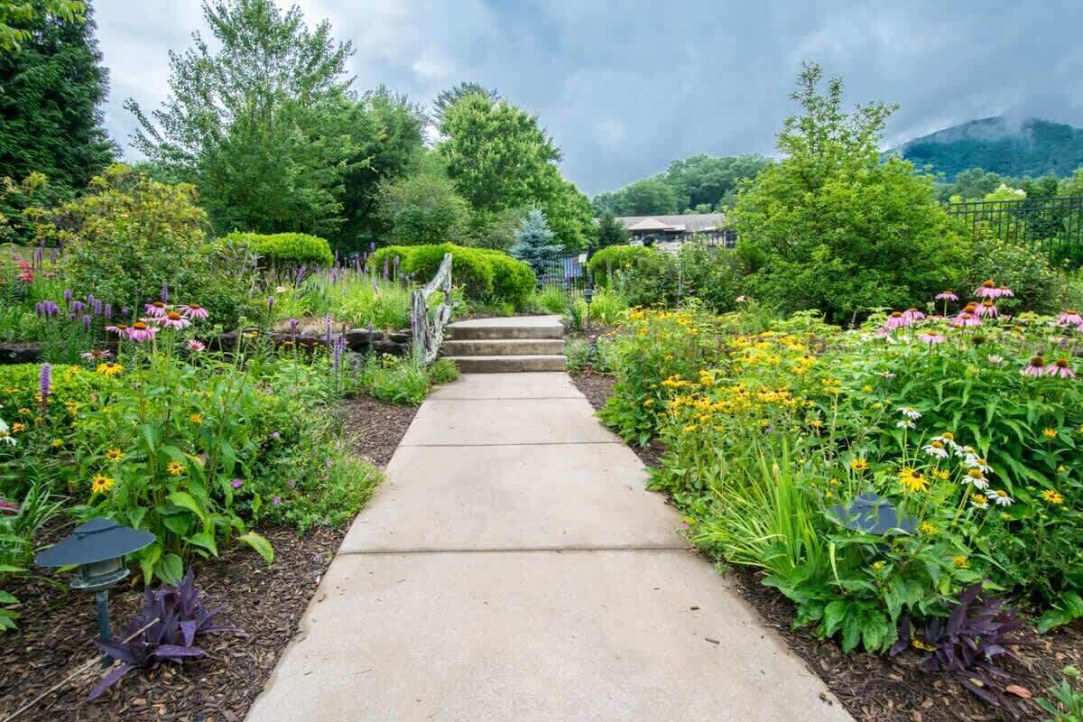 Un sentier de jardin mène à une maison à toit de chaume, entourée d’une végétation luxuriante et de diverses plantes à fleurs.