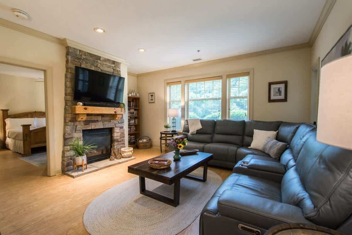 电视、壁炉、DVD 播放器、办公室