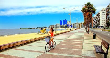 Elegant Apartment - Perfect Location Between the Coast and the City Center